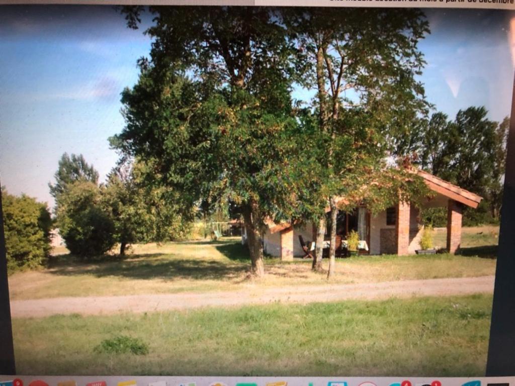 Location Gite 4 Personnes Mazeres - La Petite Maison Exterior photo
